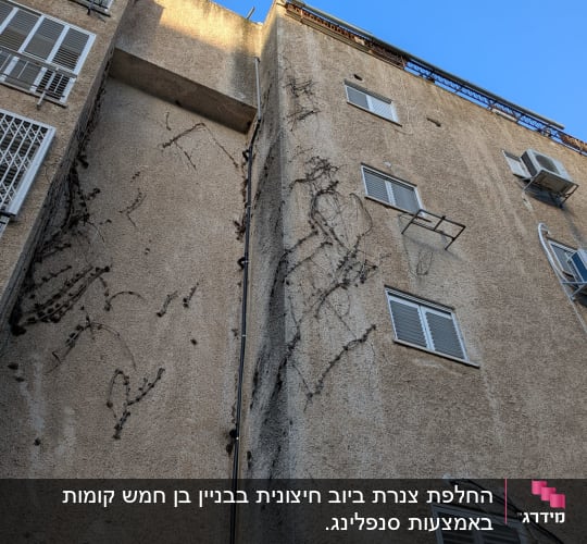 בניין גבוה עם חלונות ומזגן, ציפור עפה בשמיים